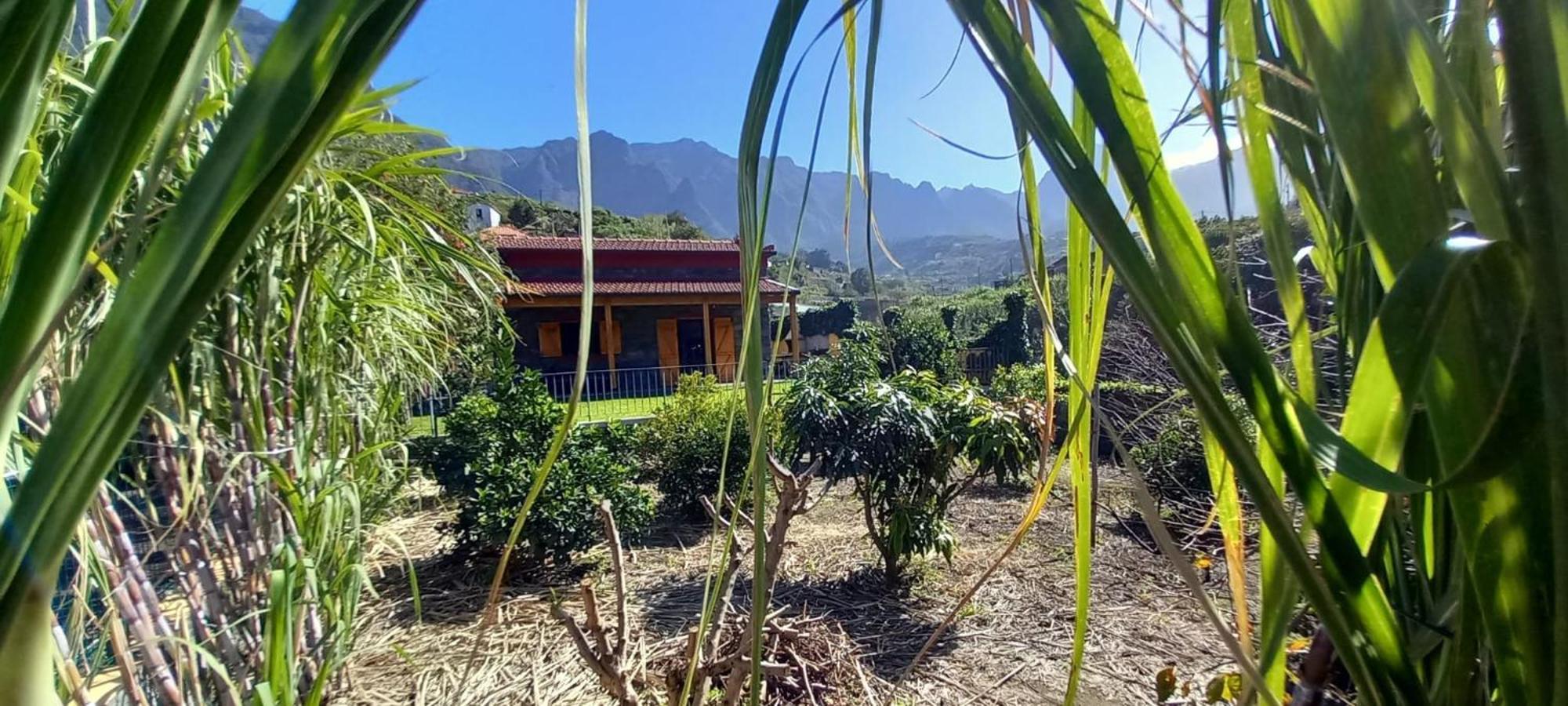 Villa Refugio Do Limoeiro São Vicente Esterno foto