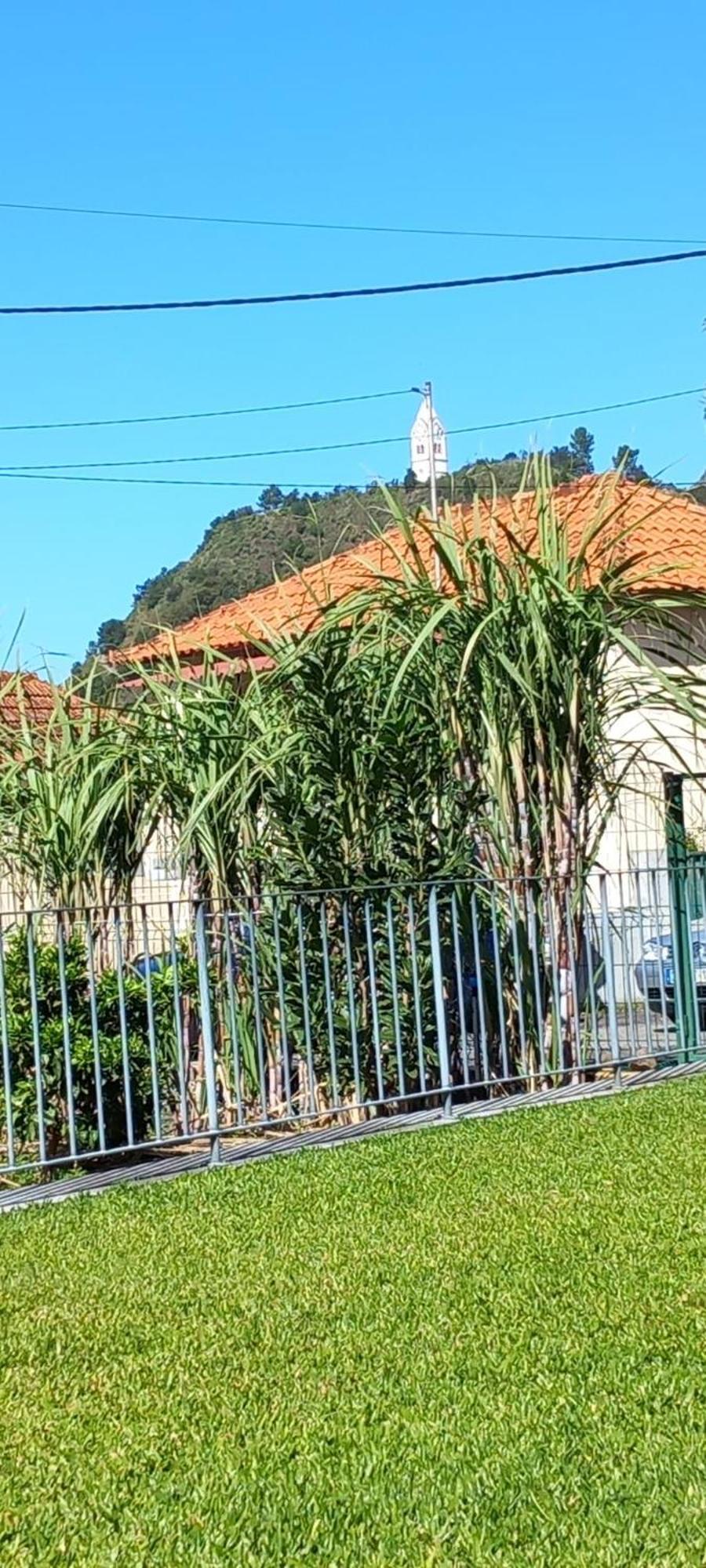 Villa Refugio Do Limoeiro São Vicente Esterno foto
